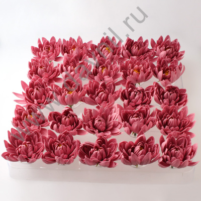 /tmp/v8_Lr0IIr_1822.А2-8-211