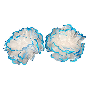 photo_6113975230092397305_y