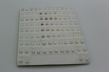 /tmp/v8_Lr0IIr_a30a.IMG_1405