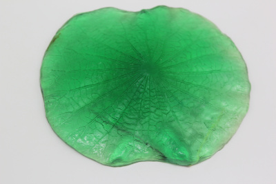 /tmp/v8_Lr0IIr_7a5b.IMG_2140