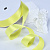 1"(25mm)Single Face Satin Ribbon 525 односторонняя сатиновая лента 10 ярдов жёлтая