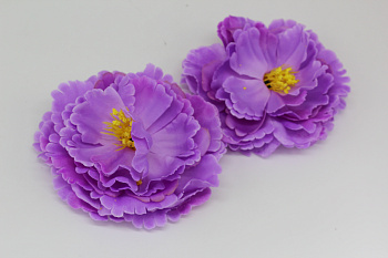 /tmp/v8_Lr0IIr_74dc.IMG_3381