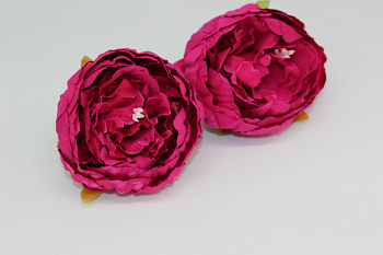 /tmp/v8_Lr0IIr_7cde.IMG_3388