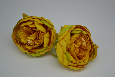 /tmp/v8_Lr0IIr_9a20.DSC_0006