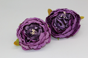 /tmp/v8_Lr0IIr_9a2a.IMG_3398