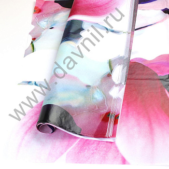 /tmp/v8_Lr0IIr_4f88.А27-42-10