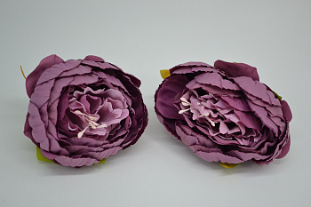 /tmp/v8_Lr0IIr_9a5e.DSC_0022