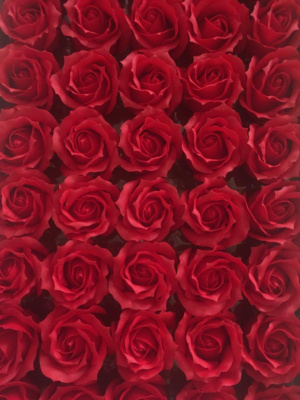 /tmp/v8_Lr0IIr_3e7e.WhatsApp Image 2021-03-05 at 13.48.58