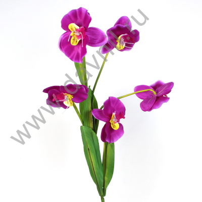 /tmp/v8_Lr0IIr_37cd.А1-11 фиолетовая