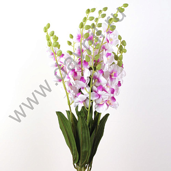 /tmp/v8_Lr0IIr_4109.27-27