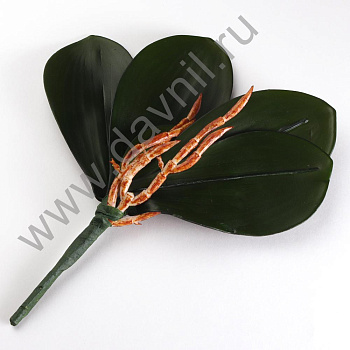 /tmp/v8_Lr0IIr_83ba.А1-71