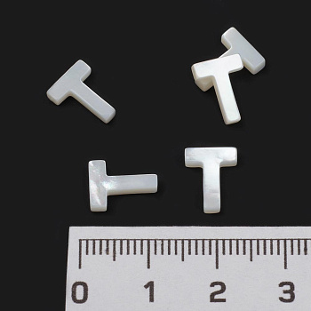 /tmp/v8_Lr0IIr_e6a3.T10