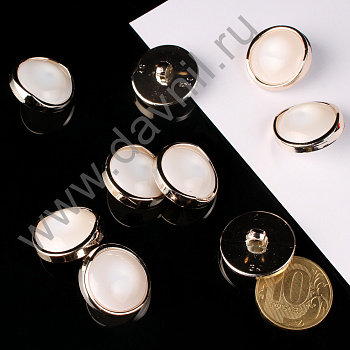 /tmp/v8_Lr0IIr_2cd7.К106-81Ф белая в золотой оправе