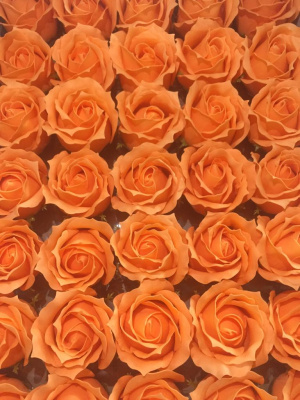 /tmp/v8_Lr0IIr_3e75.WhatsApp Image 2021-03-05 at 12.57.56