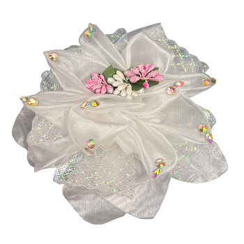 photo_6111391227443265897_y