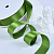 1"(25mm)Single Face Satin Ribbon 548 односторонняя сатиновая лента 10 ярдов киви