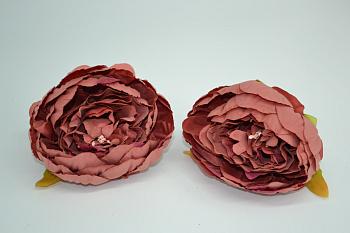 /tmp/v8_Lr0IIr_73f6.DSC_0013