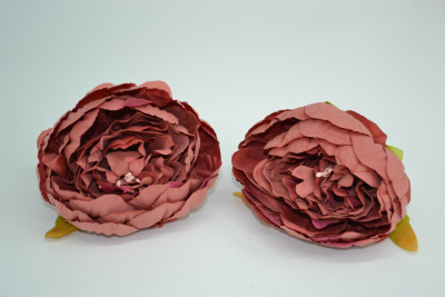 /tmp/v8_Lr0IIr_73f6.DSC_0013