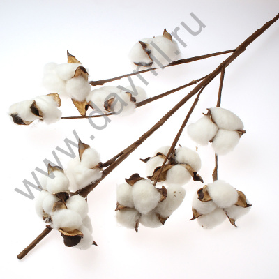 /tmp/v8_Lr0IIr_2f38.К92-42