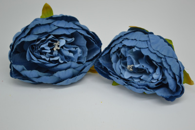 /tmp/v8_Lr0IIr_7cd1.DSC_0014