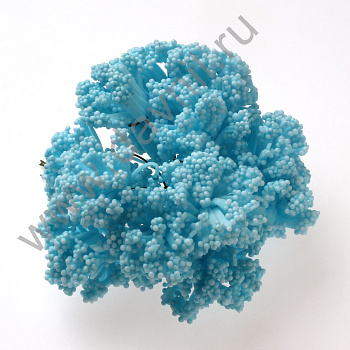 /tmp/v8_Lr0IIr_3884.К92-4 голубой